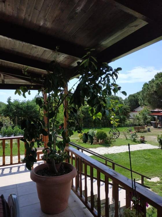 Mesimvria Ivonnis Garden别墅 外观 照片