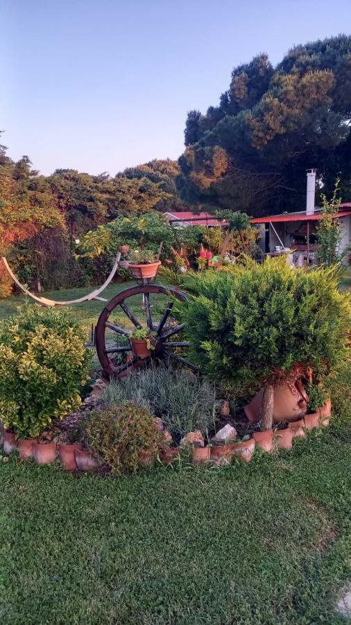 Mesimvria Ivonnis Garden别墅 外观 照片
